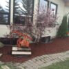 Rubber Nugget Mulch - Image 5