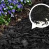 Chip Mulch